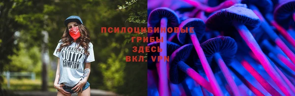 кристаллы Новозыбков