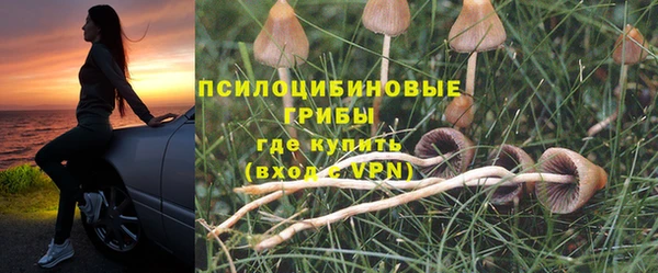 прущие грибы Нефтегорск