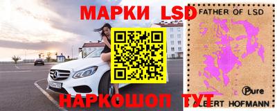 дмт Краснодар
