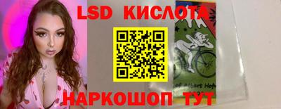 дмт Краснодар