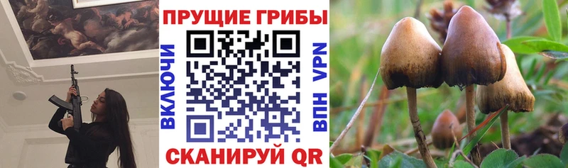 это Telegram  Фурманов  Галлюциногенные грибы GOLDEN TEACHER  MEGA вход 