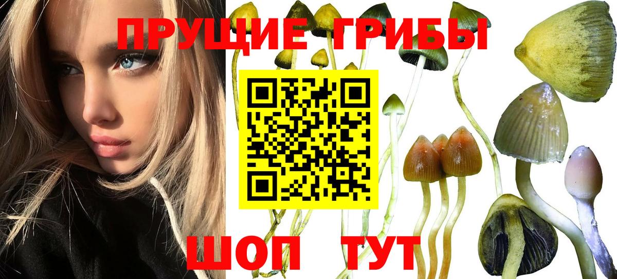 Псилоцибиновые грибы MAGIC MUSHROOMS Фурманов