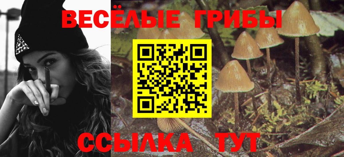 Псилоцибиновые грибы Psilocybine cubensis  Галлюциногенные грибы прущие грибы  Фурманов  Вход с VPN 